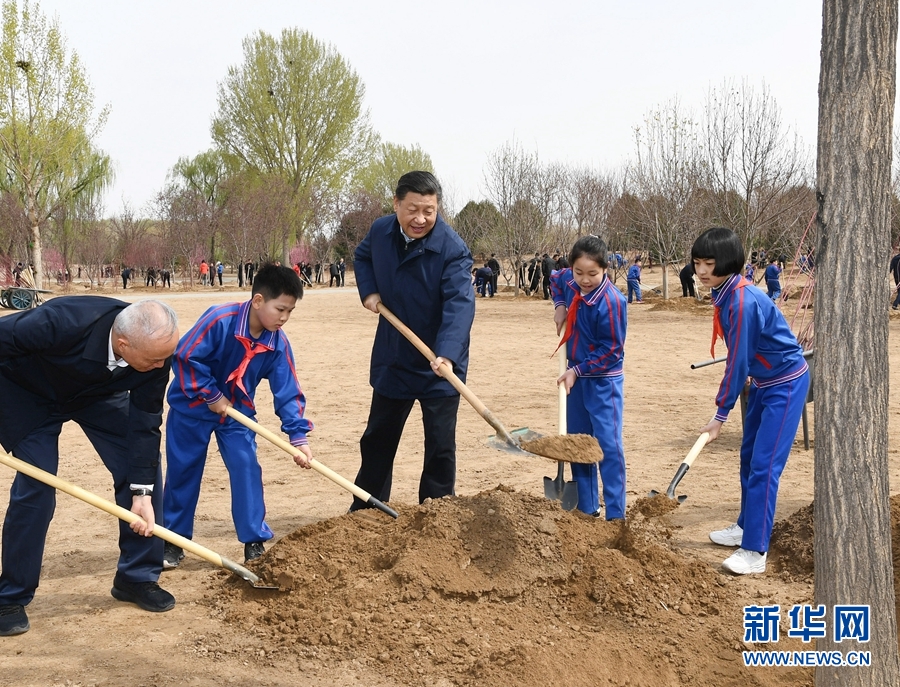 習(xí)近平：推動(dòng)國(guó)土綠化不斷取得實(shí)實(shí)在在的成效