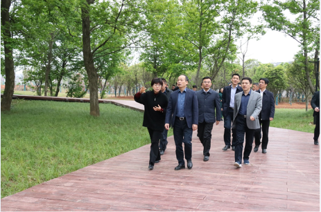 常德市委書記周德睿調研柳林生態公園