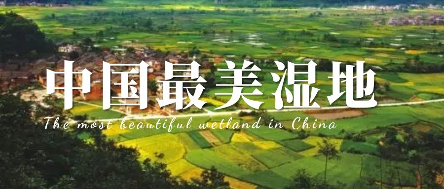 奇聞科普 | 中國最美濕地，你的家鄉(xiāng)上榜了嗎？